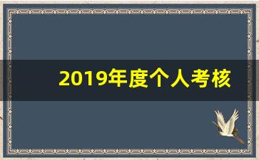 2019年度个人考核_2019年个人述职报告 最新